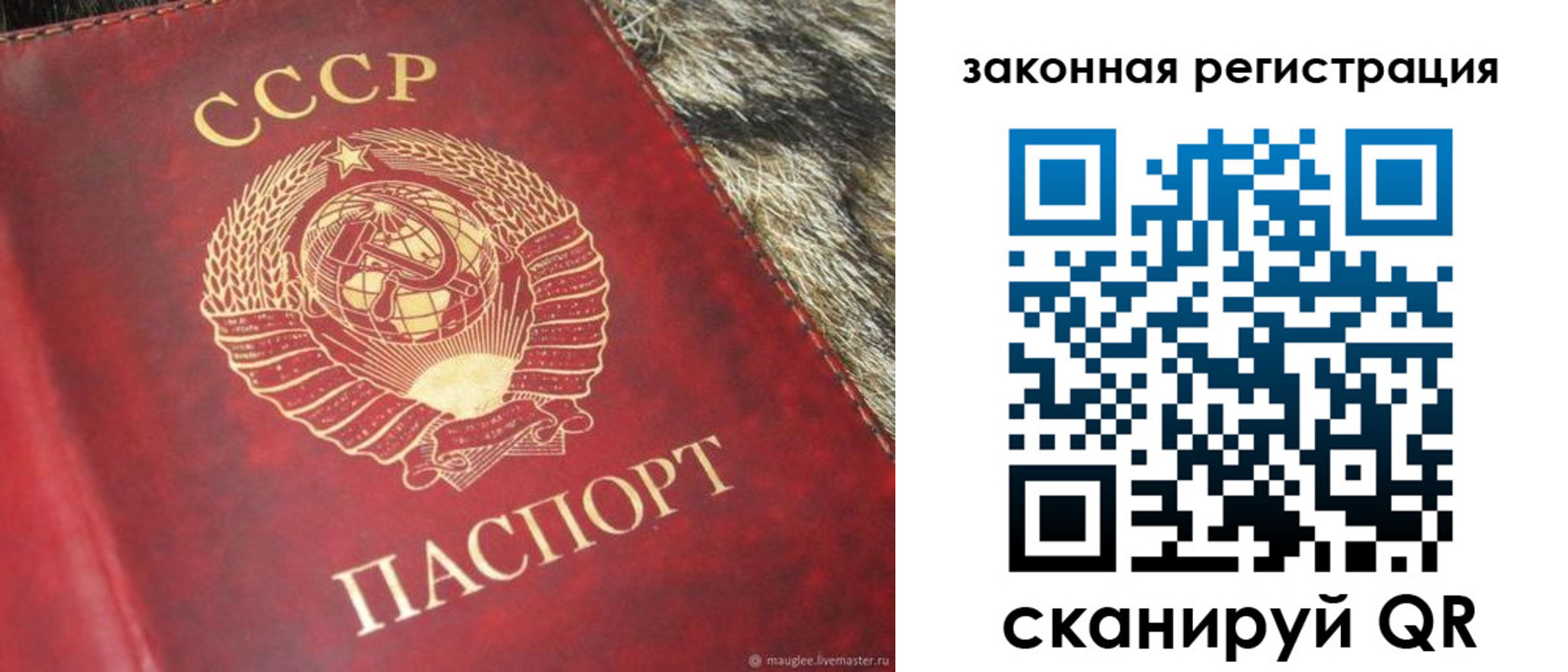 прописка от собственника в Красном Сулине